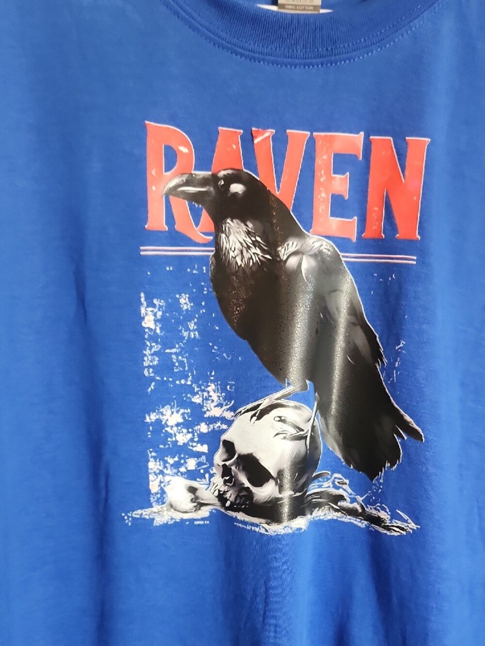Raven Graphic Short-Sleeve Tee - Blue